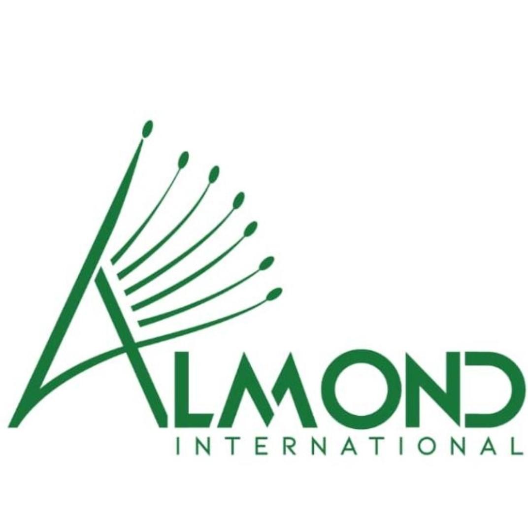 ALMOND INTERNATIONAL GROUP LTD